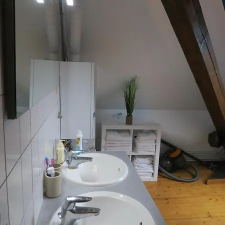 Le Tomi Apartment Colmar